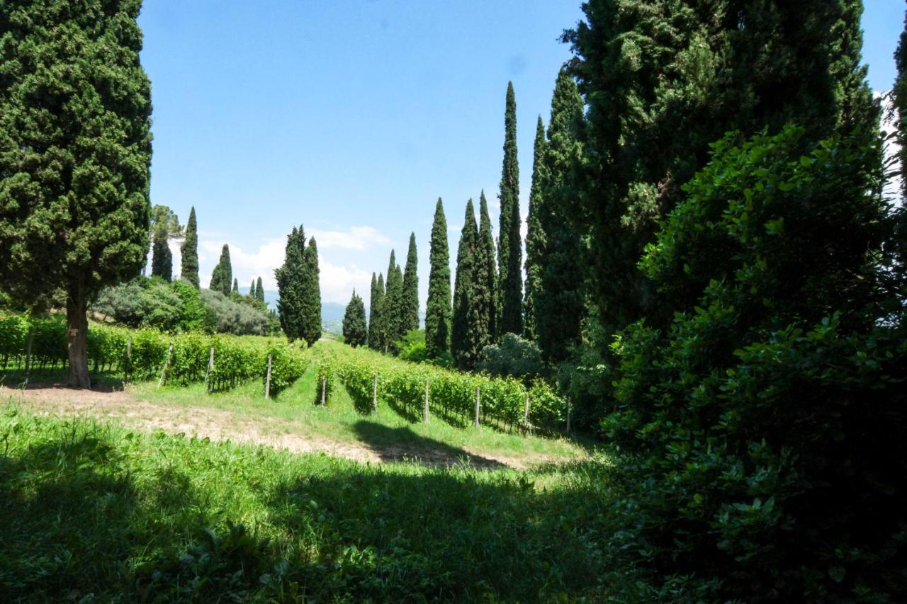 Villa Betteloni Valpolicella Suites San Pietro in Cariano Exterior foto