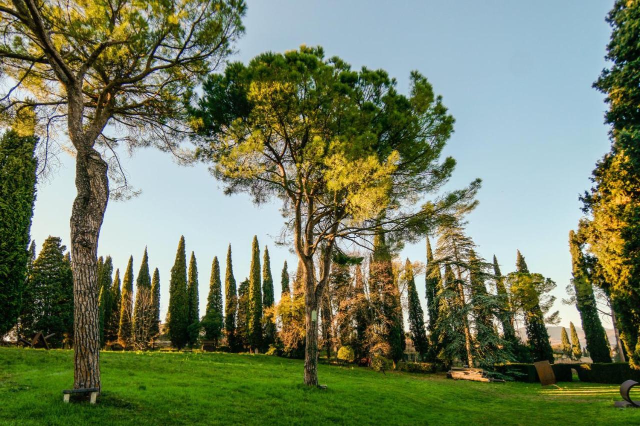 Villa Betteloni Valpolicella Suites San Pietro in Cariano Quarto foto